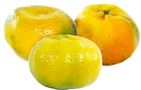 Mandarina Arrayana