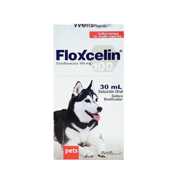 Floxcelin Oral
