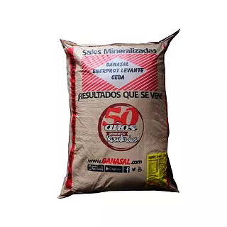 Ganasal Enerprot Levante Ceba