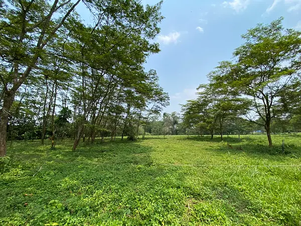 Finca Ecológica- Guacavía