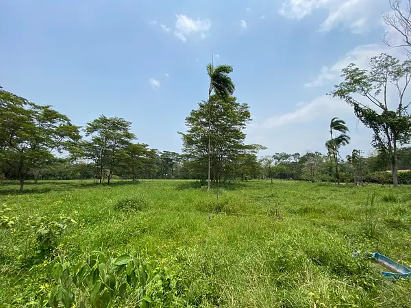 Finca Ecológica- Guacavía