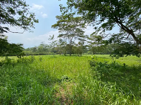 Finca Ecológica- Guacavía