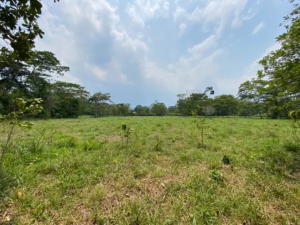 Finca Ecológica- Guacavía