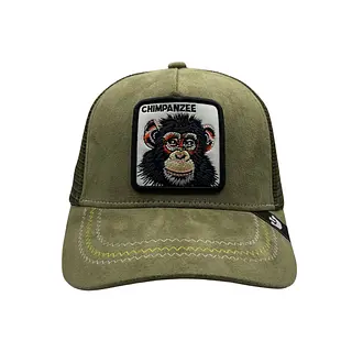 Chimpanzee Verde Gamusa