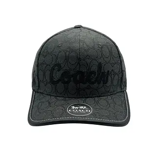 Coach Gris Estampada