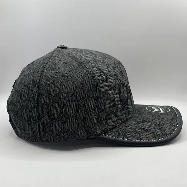 Coach Gris Estampada