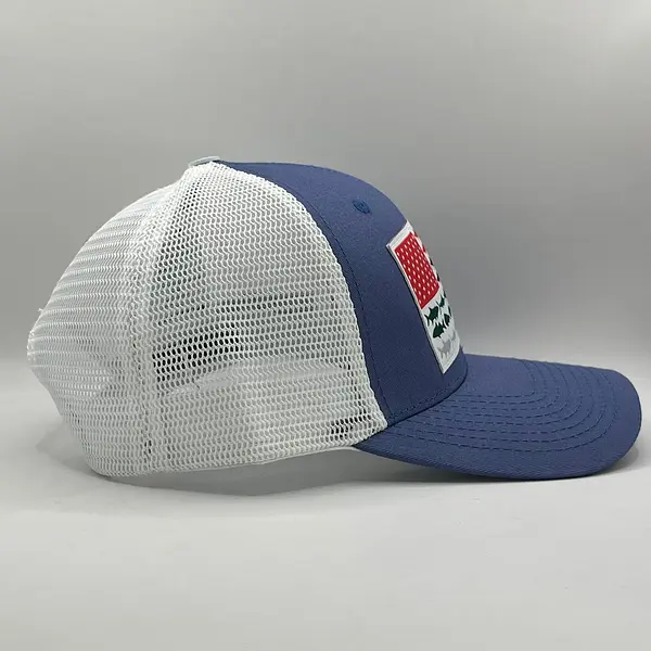 Gorra Columbia Azul Lavanda Bandera