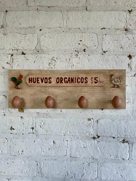 Perchero De Pared Con Ganchos En Forma De Huevo