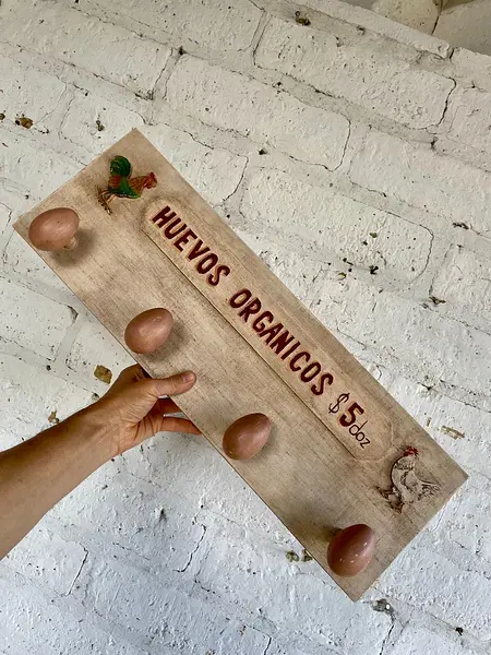 Perchero De Pared Con Ganchos En Forma De Huevo