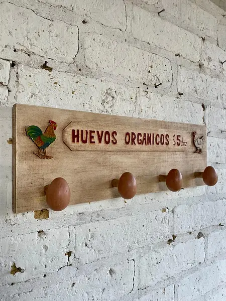 Perchero De Pared Con Ganchos En Forma De Huevo