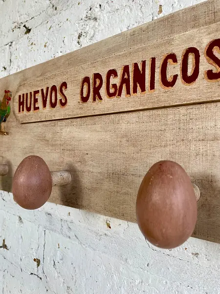 Perchero De Pared Con Ganchos En Forma De Huevo