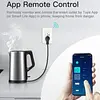 Tomacorriente Enchufe Inteligente Doble App Tuya Wifi Usb/C