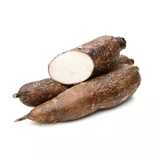 Yuca Llanera Pareja