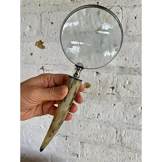 Lupa De Mano Con Mango De Cacho Lente De Vidrio 10x