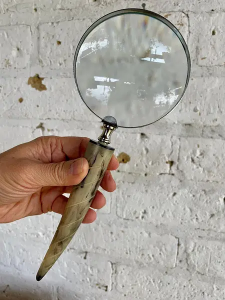 Lupa De Mano Con Mango De Cacho Lente De Vidrio 10x