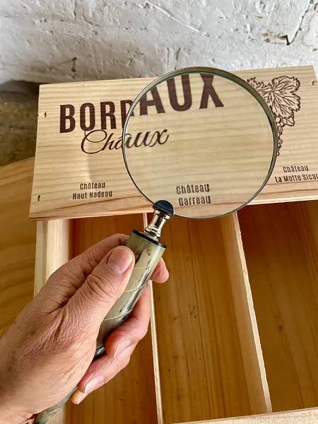 Lupa De Mano Con Mango De Cacho Lente De Vidrio 10x