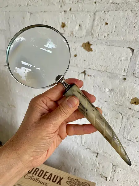 Lupa De Mano Con Mango De Cacho Lente De Vidrio 10x