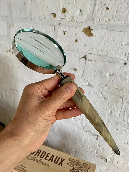 Lupa De Mano Con Mango De Cacho Lente De Vidrio 10x