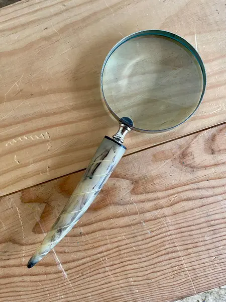 Lupa De Mano Con Mango De Cacho Lente De Vidrio 10x