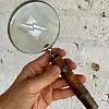 Lupa De Mano Mango Madera 10x