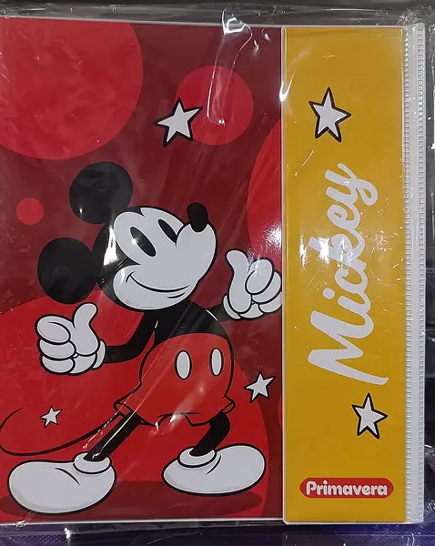 Folder 105 Carta Primavera