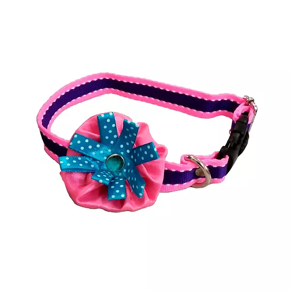 Collar para Mascota Pequeño Rosado con Azul