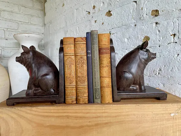 Cerdos Tranca Libros En Resina - U.S.A. 198