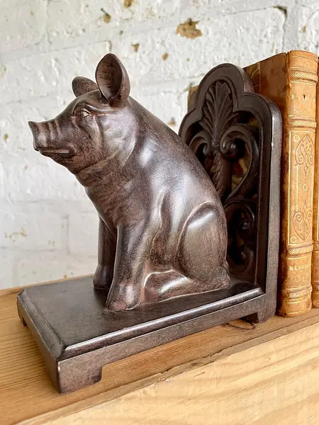 Cerdos Tranca Libros En Resina - U.S.A. 198