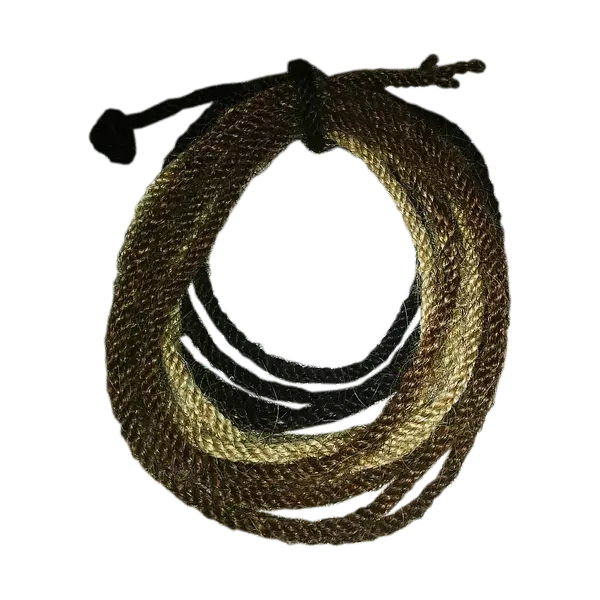 Cabresto Tricolor