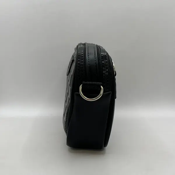 Carriel Louis Vuitton Cuadros