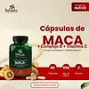 Cápsulas De Maca Vitaminas Del Complejo B Y Vitamina C