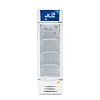 Vitrina Refrigerada Vertical Jlc 309 Litros 0127