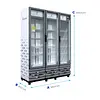 Vitrina Vertical Indufrial Forte V40 G-Rhc