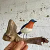 Pájaro Azulejo Sobre Tronco Natural - U.S.A. 2000
