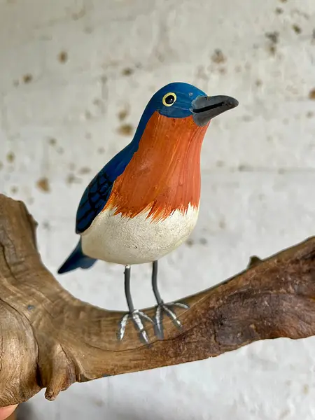 Pájaro Azulejo Sobre Tronco Natural - U.S.A. 2000