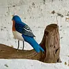 Pájaro Azulejo Sobre Tronco Natural - U.S.A. 2000