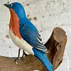 Pájaro Azulejo Sobre Tronco Natural - U.S.A. 2000