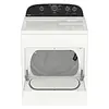 Secadora Carga Frontal A Gas 19kgs