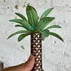 Centro De Mesa Tropical - 1990