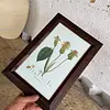 Cuadro Lámina Expedición Botánica - Bogotá 1994