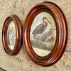 Cuadros De Aves X 2 Con Moldura Ovalada - Europa 1940