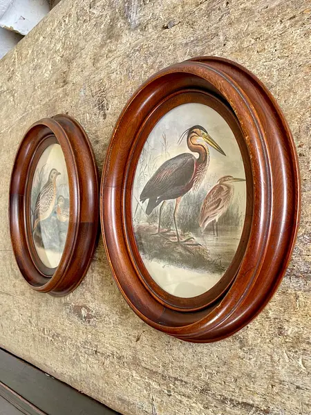 Cuadros De Aves X 2 Con Moldura Ovalada - Europa 1940