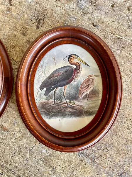 Cuadros De Aves X 2 Con Moldura Ovalada - Europa 1940