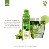 Bebida Verde Para Diluir - Clorofila