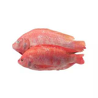 Mojarra