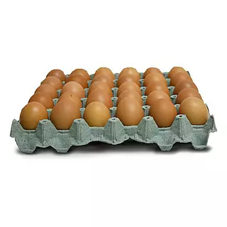 Huevo Gallina Rapi Tipo B