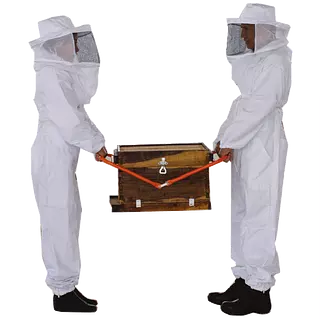 Pinzas Para Camara De Cría