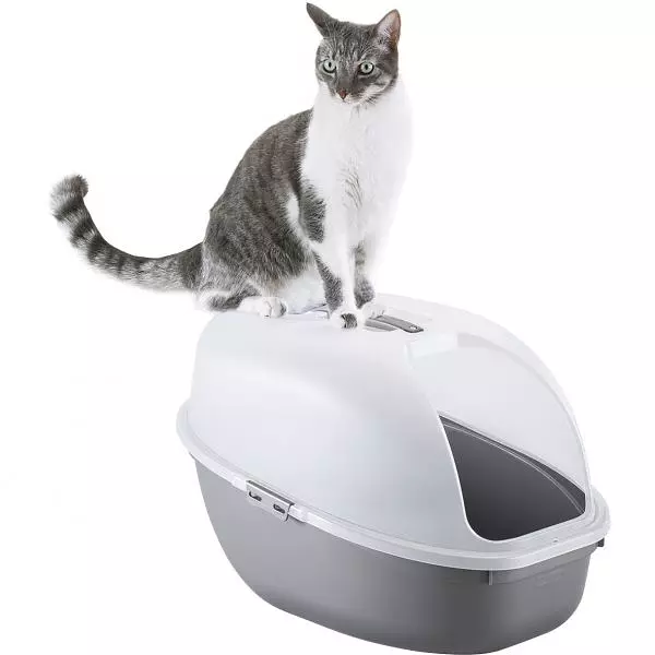 Arenero Rimax Para Gato