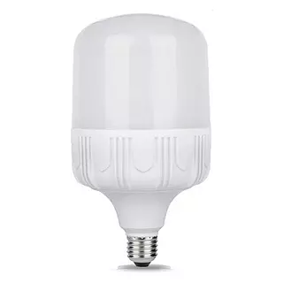 Bombillo Led 22w