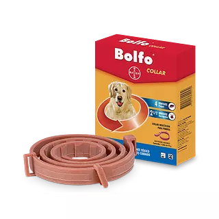 Bolfo Collar